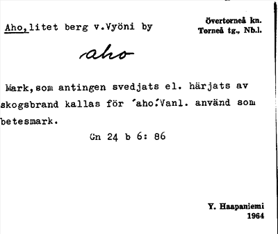 Bild på arkivkortet för arkivposten Aho