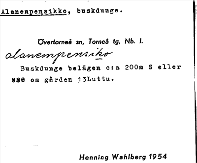 Bild på arkivkortet för arkivposten Alanenpensikko