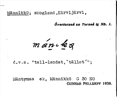 Bild på arkivkortet för arkivposten Männikkö