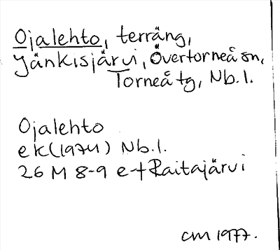 Bild på arkivkortet för arkivposten Ojalehto