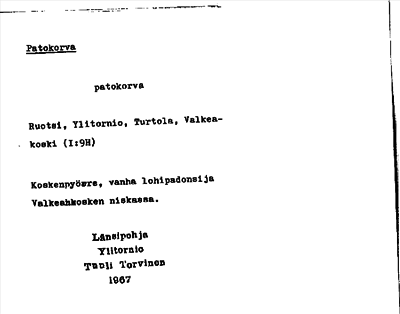 Bild på arkivkortet för arkivposten Patokorva