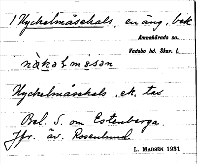 Bild på arkivkortet för arkivposten Nyckelmåsehals