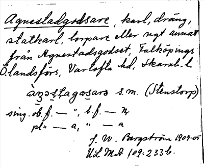 Bild på arkivkortet för arkivposten Agnestadgodsare