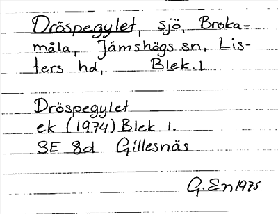 Bild på arkivkortet för arkivposten Dröspegylet