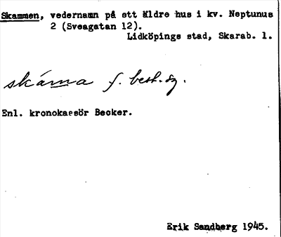 Bild på arkivkortet för arkivposten Skammen