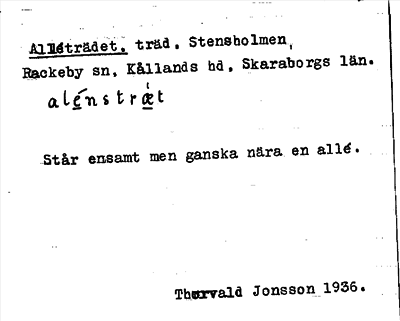 Bild på arkivkortet för arkivposten Alléträdet