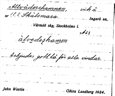 Bild på arkivkortet för arkivposten Allvädershamnen
