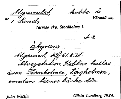 Bild på arkivkortet för arkivposten Algrundet