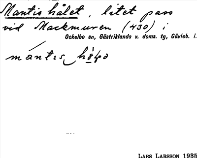 Bild på arkivkortet för arkivposten Mantis hålet