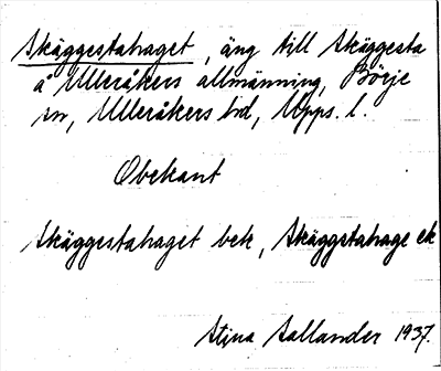 Bild på arkivkortet för arkivposten Skäggestahaget