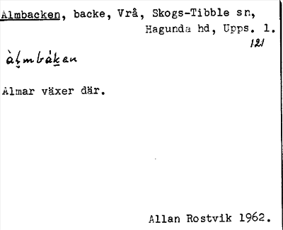 Bild på arkivkortet för arkivposten Almbacken