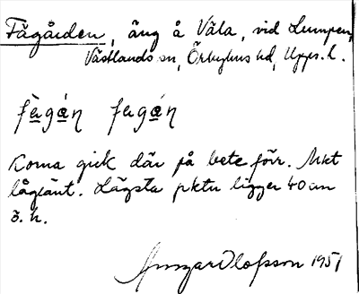 Bild på arkivkortet för arkivposten Fägården