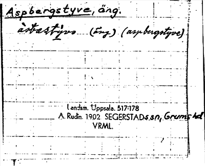 Bild på arkivkortet för arkivposten Aspbergstyve