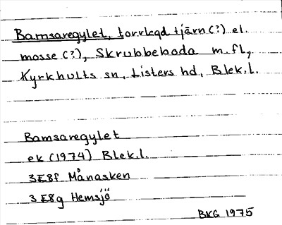 Bild på arkivkortet för arkivposten Bamsaregylet