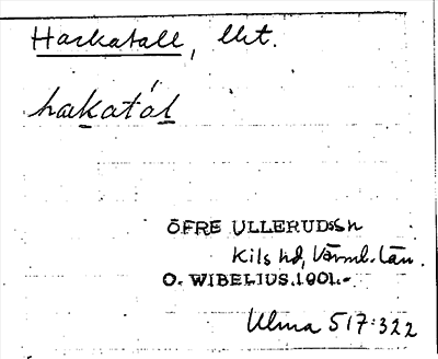 Bild på arkivkortet för arkivposten Hackatall