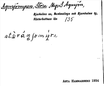 Bild på arkivkortet för arkivposten Agnsjömyran, Stora