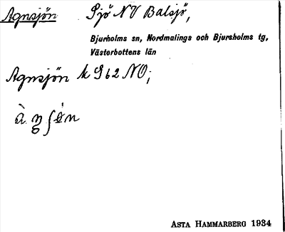 Bild på arkivkortet för arkivposten Agnsjön