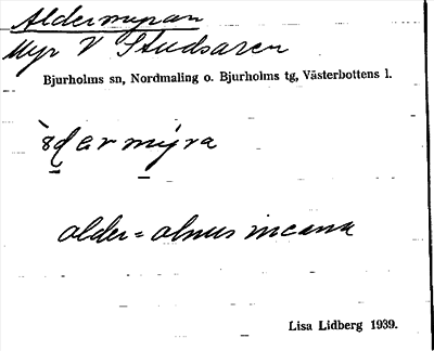 Bild på arkivkortet för arkivposten Aldermyran
