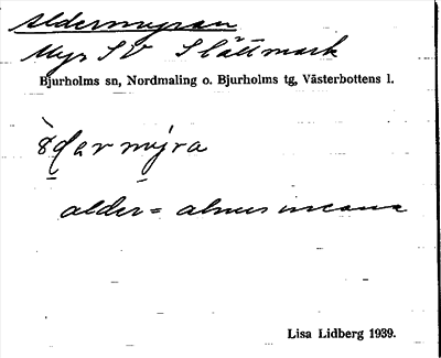 Bild på arkivkortet för arkivposten Aldermyran