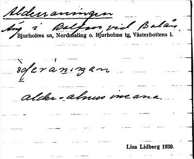 Bild på arkivkortet för arkivposten Alderraningen