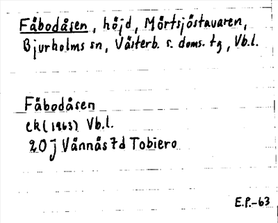 Bild på arkivkortet för arkivposten Fäbodåsen