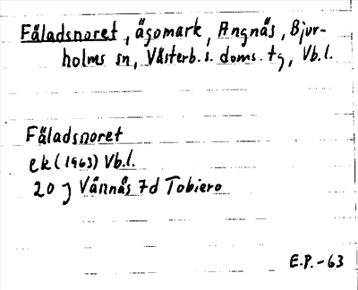 Bild på arkivkortet för arkivposten Fäladsnoret