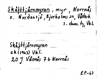 Bild på arkivkortet för arkivposten Skäfttjärnmyran