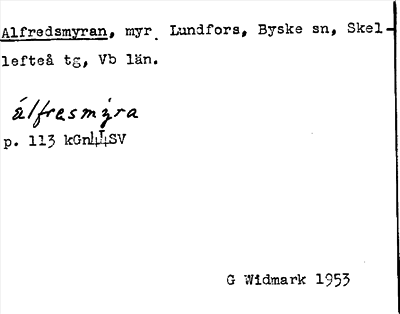 Bild på arkivkortet för arkivposten Alfredsmyran