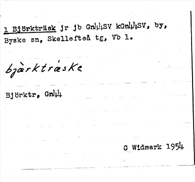 Bild på arkivkortet för arkivposten Björkträsk