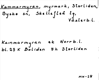 Bild på arkivkortet för arkivposten Kammarmyran