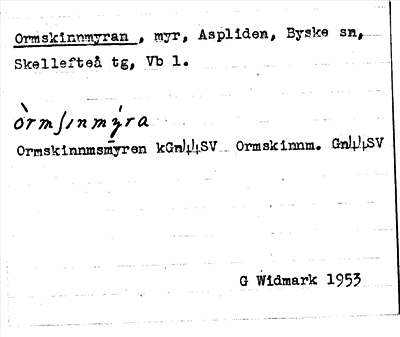 Bild på arkivkortet för arkivposten Ormskinnmyran
