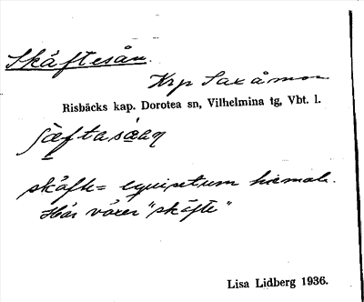 Bild på arkivkortet för arkivposten Skäftesån