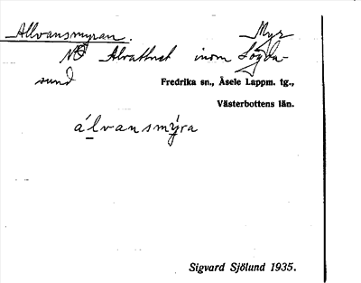 Bild på arkivkortet för arkivposten Allvansmyran