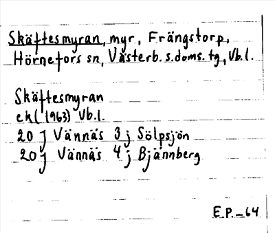 Bild på arkivkortet för arkivposten Skäftesmyran