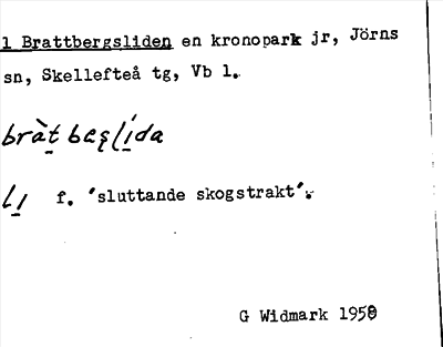 Bild på arkivkortet för arkivposten Brattbergsliden