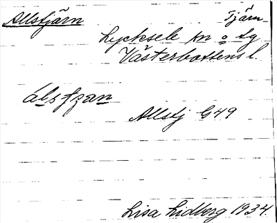 Bild på arkivkortet för arkivposten Allstjärn