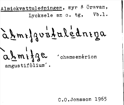 Bild på arkivkortet för arkivposten Almickvattuledningen