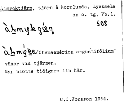 Bild på arkivkortet för arkivposten Almycktjärn