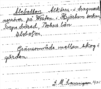 Bild på arkivkortet för arkivposten Alebotten
