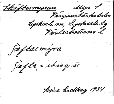 Bild på arkivkortet för arkivposten Skäftesmyran