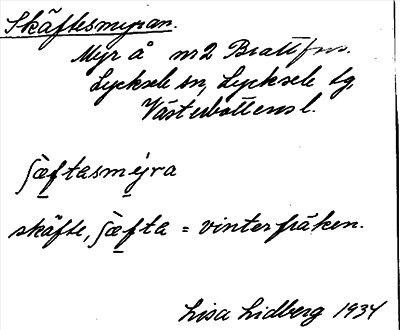 Bild på arkivkortet för arkivposten Skäftesmyran