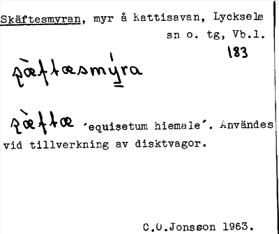 Bild på arkivkortet för arkivposten Skäftesmyran