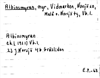 Bild på arkivkortet för arkivposten Albinsmyran