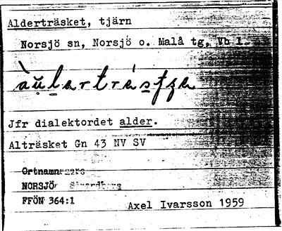 Bild på arkivkortet för arkivposten Alderträsket