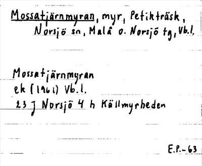 Bild på arkivkortet för arkivposten Mossatjärnmyran