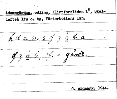 Bild på arkivkortet för arkivposten Adamsgärdan