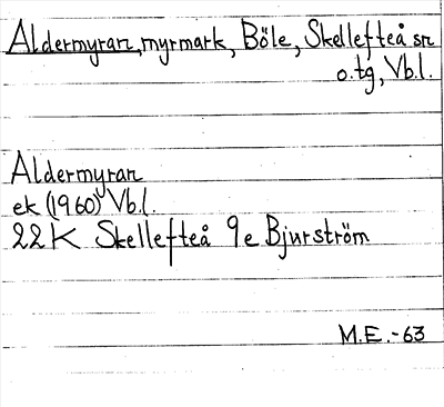 Bild på arkivkortet för arkivposten Aldermyran