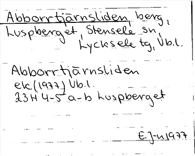 Bild på arkivkortet för arkivposten Abborrtjärnsliden