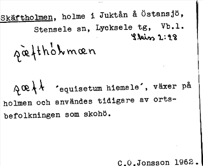 Bild på arkivkortet för arkivposten Skäftholmen
