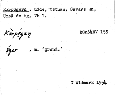 Bild på arkivkortet för arkivposten Korpögern